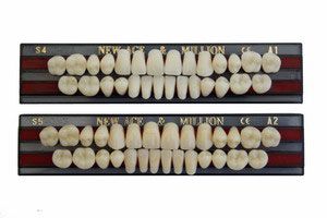 Зубы пластмассовые CLORIA NEW ASE фасон TL5, цвет A3,5 (гарнитура-28шт)