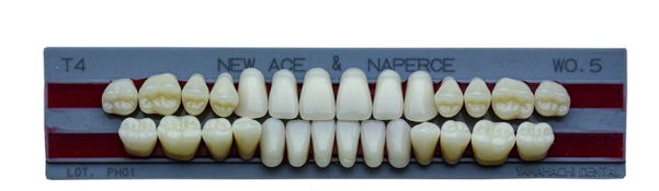 Зубы пластмассовые CLORIA NEW ASE фасон T4, цвет W05 (гарнитура-28шт)