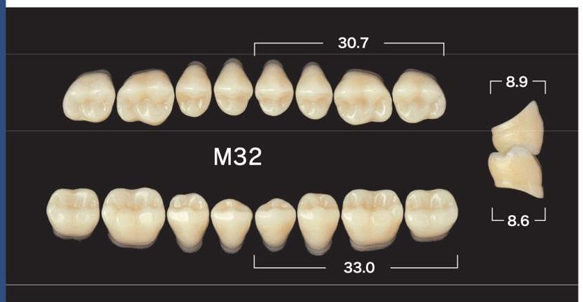 Гарнитур фронт. зубов,  Низ S3L / A2 (6шт)