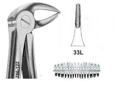 Щипцы для удаления зубов №33L