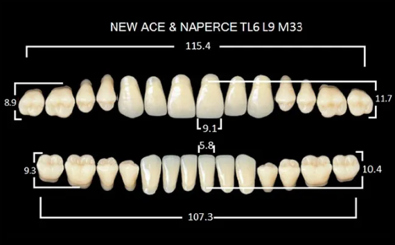 Зубы пластмассовые CLORIA NEW ASE фасон TL6, цвет A1 (гарнитура-28шт)