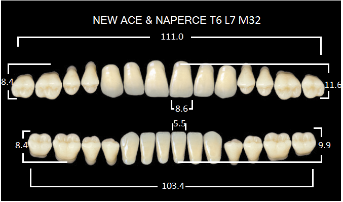 Зубы пластмассовые CLORIA NEW ASE фасон T6, цвет B3 (гарнитура-28шт)